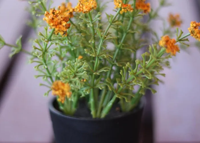 Spa-apartment Mit Sauna In Ulm-boefingen شقة أولم